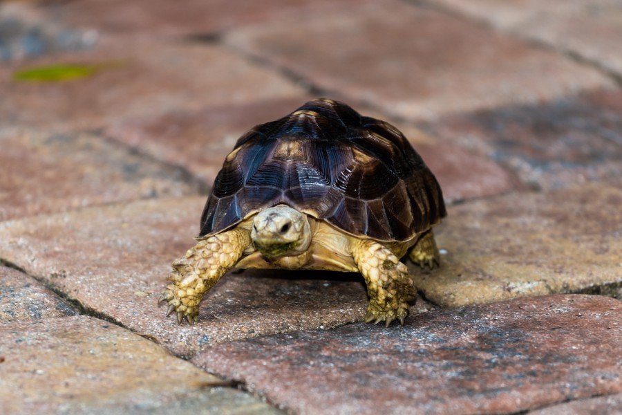 2020 Christmas Card Photo 7